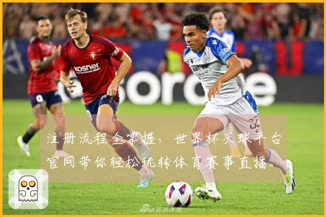注册流程全掌握，世界杯买球平台官网带你轻松玩转体育赛事直播。