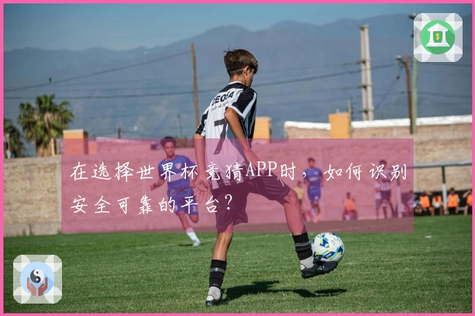 在选择世界杯竞猜APP时，如何识别安全可靠的平台？