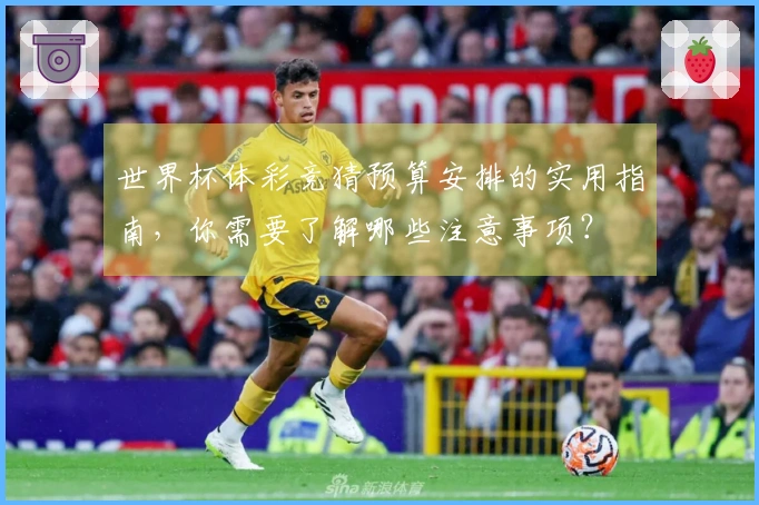 世界杯体彩竞猜预算安排的实用指南，你需要了解哪些注意事项？