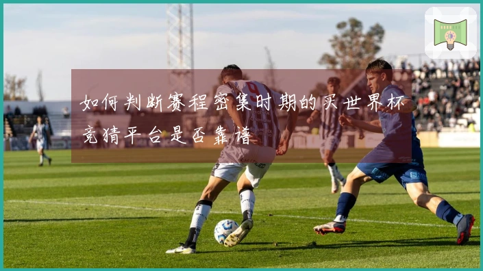 如何判断赛程密集时期的买世界杯竞猜平台是否靠谱