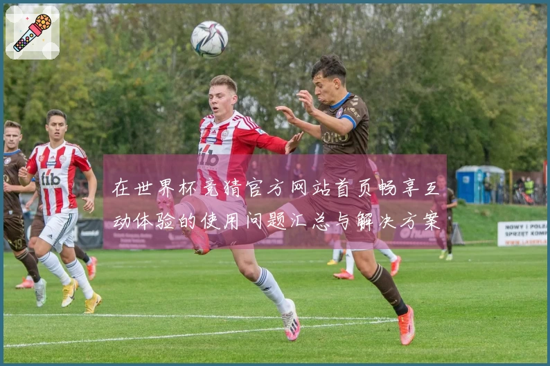 在世界杯竞猜官方网站首页畅享互动体验的使用问题汇总与解决方案