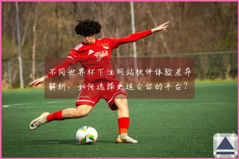 不同世界杯下注网站软件体验差异解析，如何选择更适合你的平台？
