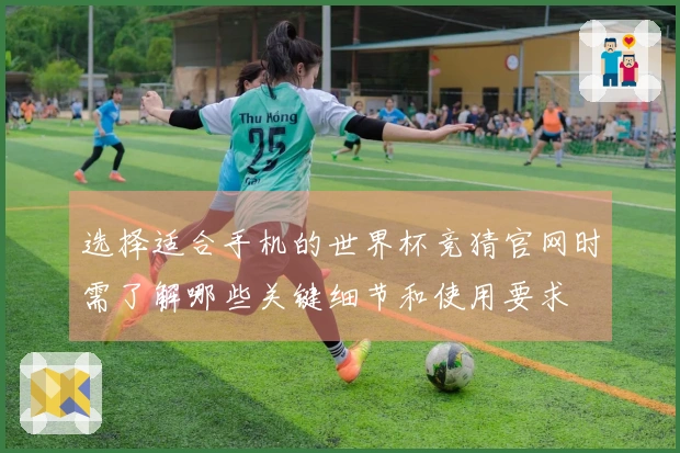 选择适合手机的世界杯竞猜官网时需了解哪些关键细节和使用要求