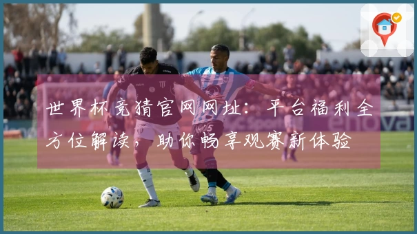 世界杯竞猜官网网址：平台福利全方位解读，助你畅享观赛新体验