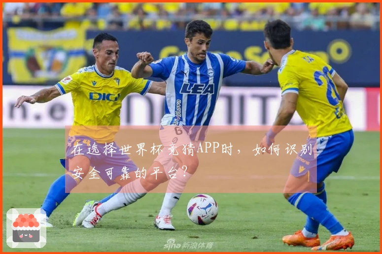 在选择世界杯竞猜APP时,如何识别安全可靠的平台?