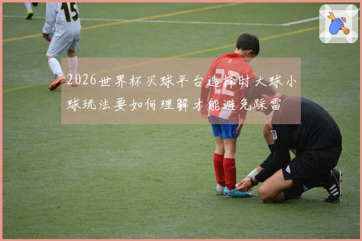 2026世界杯买球平台选择时大球小球玩法要如何理解才能避免踩雷