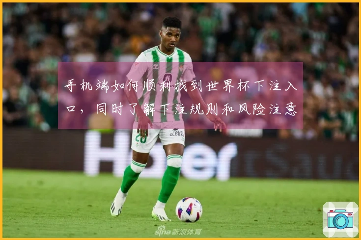 手机端如何顺利找到世界杯下注入口，同时了解下注规则和风险注意事项