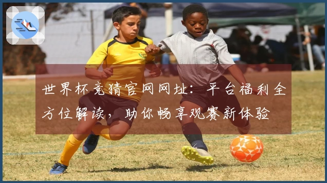 世界杯竞猜官网网址:平台福利全方位解读,助你畅享观赛新体验