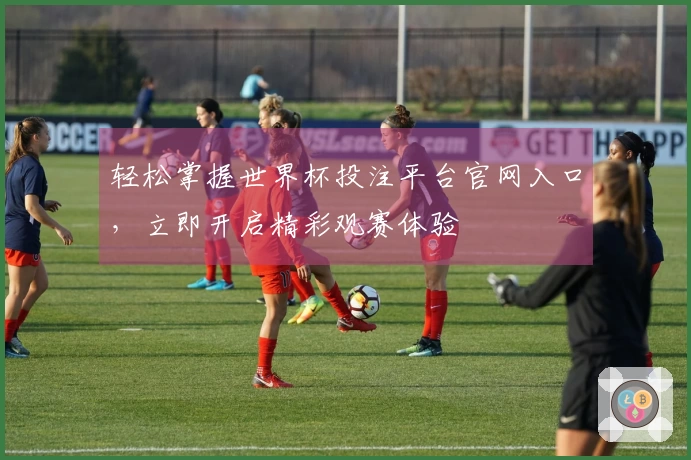 轻松掌握世界杯投注平台官网入口，立即开启精彩观赛体验