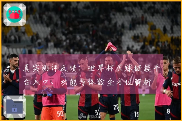 真实测评反馈：世界杯买球链接平台入口、功能与体验全方位解析