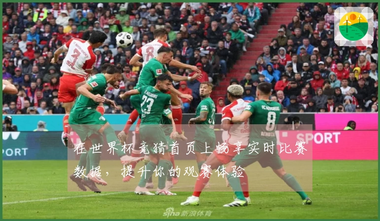 在世界杯竞猜首页上畅享实时比赛数据，提升你的观赛体验
