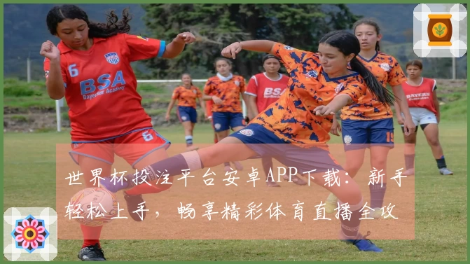 世界杯投注平台安卓APP下载：新手轻松上手，畅享精彩体育直播全攻略