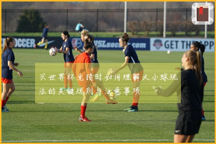 买世界杯竞猜时如何理解大小球玩法的关键规则与注意事项