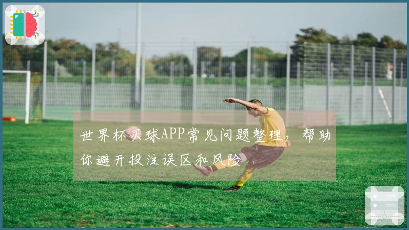 世界杯买球APP常见问题整理,帮助你避开投注误区和风险
